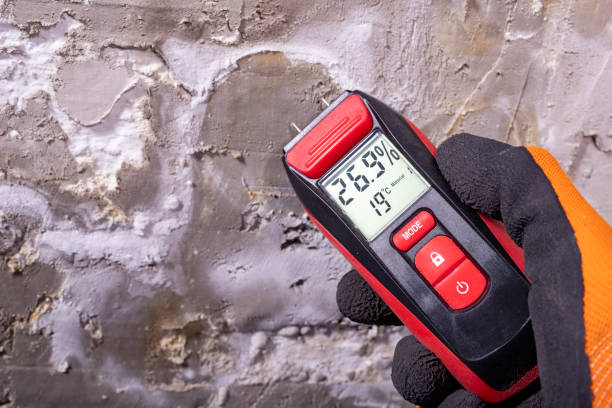Best Mold Removal Company Near Me  in Bethel, OH