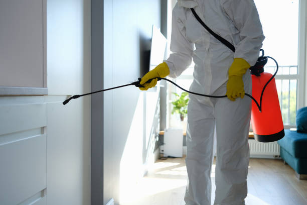 Best Commercial Mold Removal  in Bethel, OH